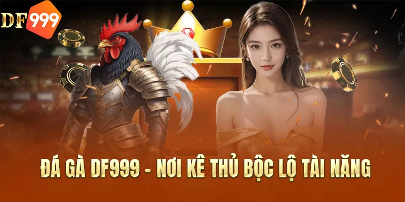 Đá gà DF999 - Nơi kê thủ bộc lộ tài năng