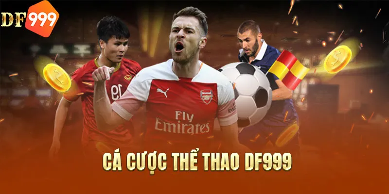 Cá cược thể thao DF999 phong phú kèo cược