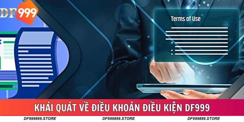 Đôi nét về điều khoản điều kiện DF999