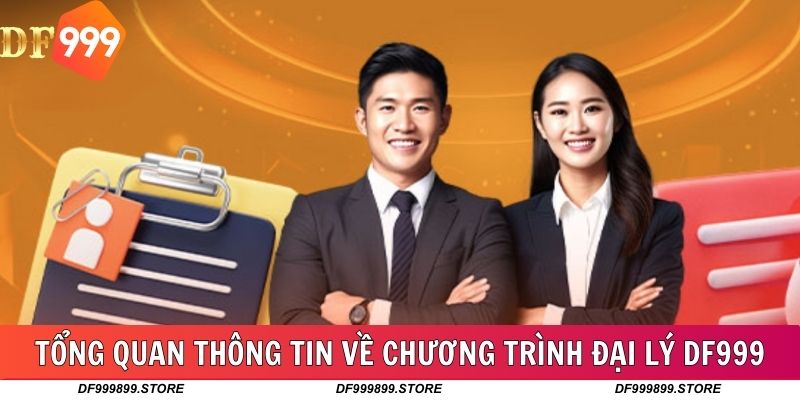 Tổng quan thông tin về chương trình đại lý DF999